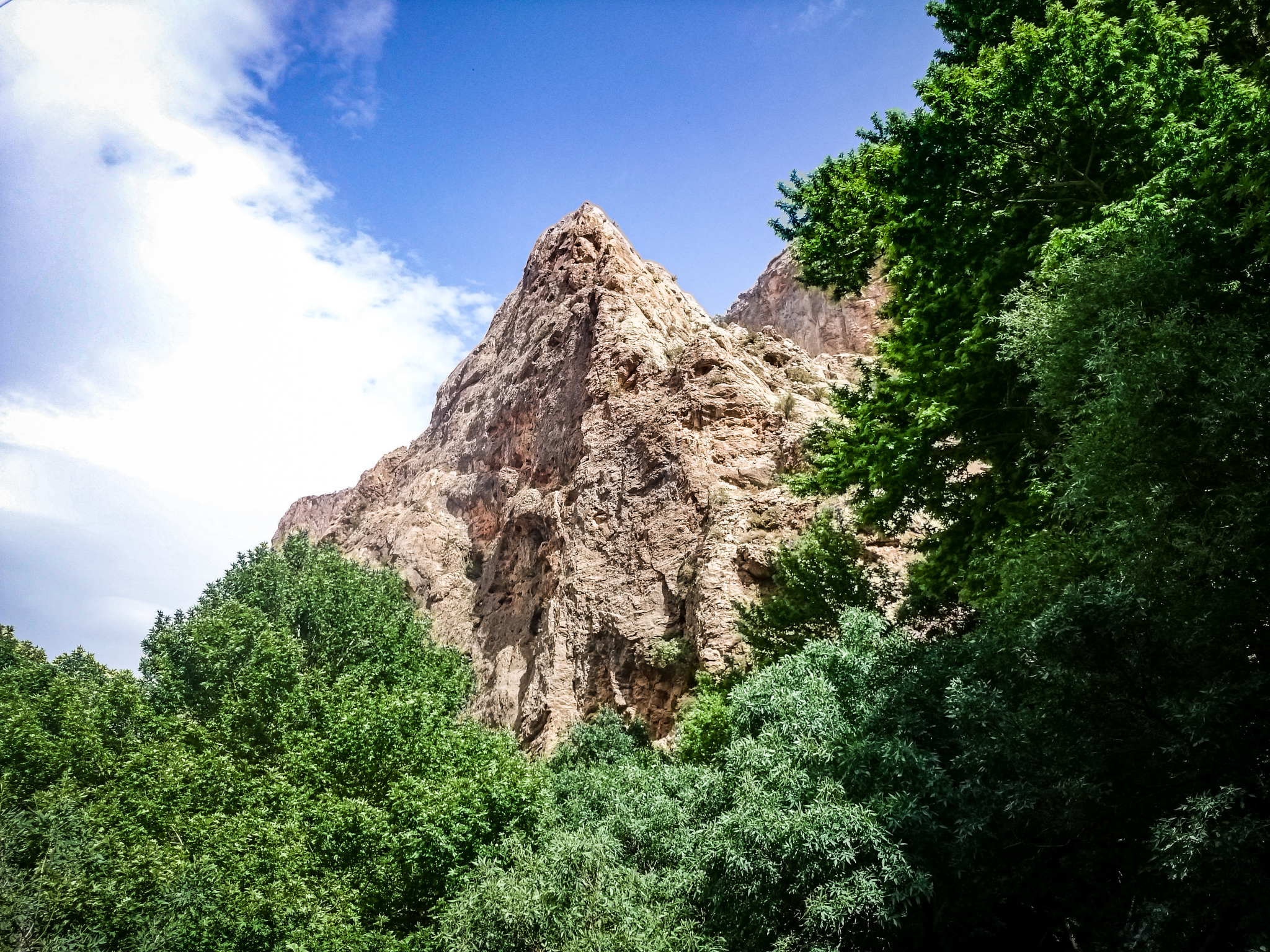 A vibrant landscape photo showing the contrast between dense, bright green treetops in the foreground and a massive, tan-colored, jagged mountain peak rising sharply against a bright blue sky with sparse white clouds.