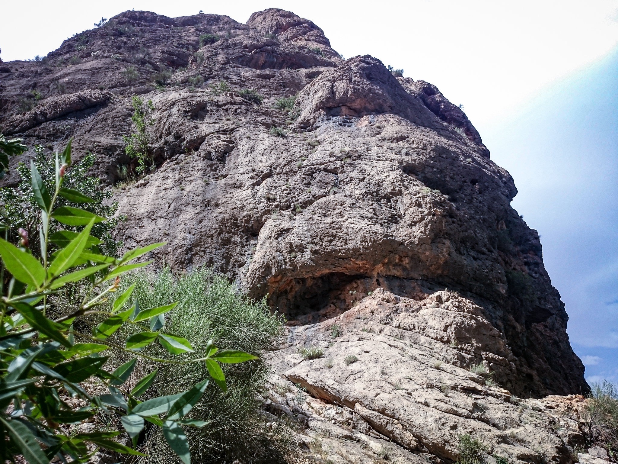 A worm's-eye view of a towering, weathered rock cliff face under a bright, pale sky. In the foreground, out-of-focus green leaves from bushes are visible.