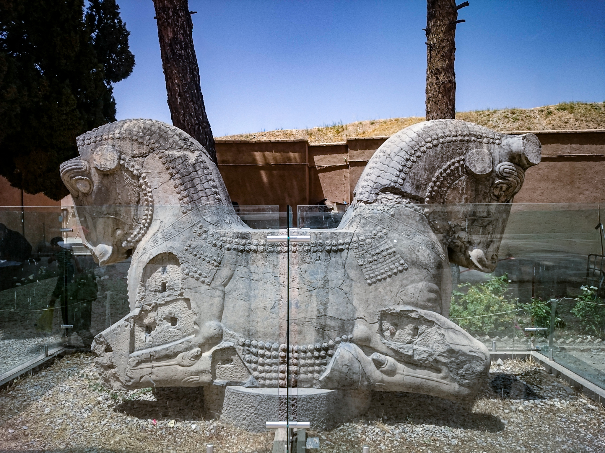 Close-up of a large, carved stone double-headed bull capitol resting on the ground, enclosed within a protective glass barrier at an archaeological site.