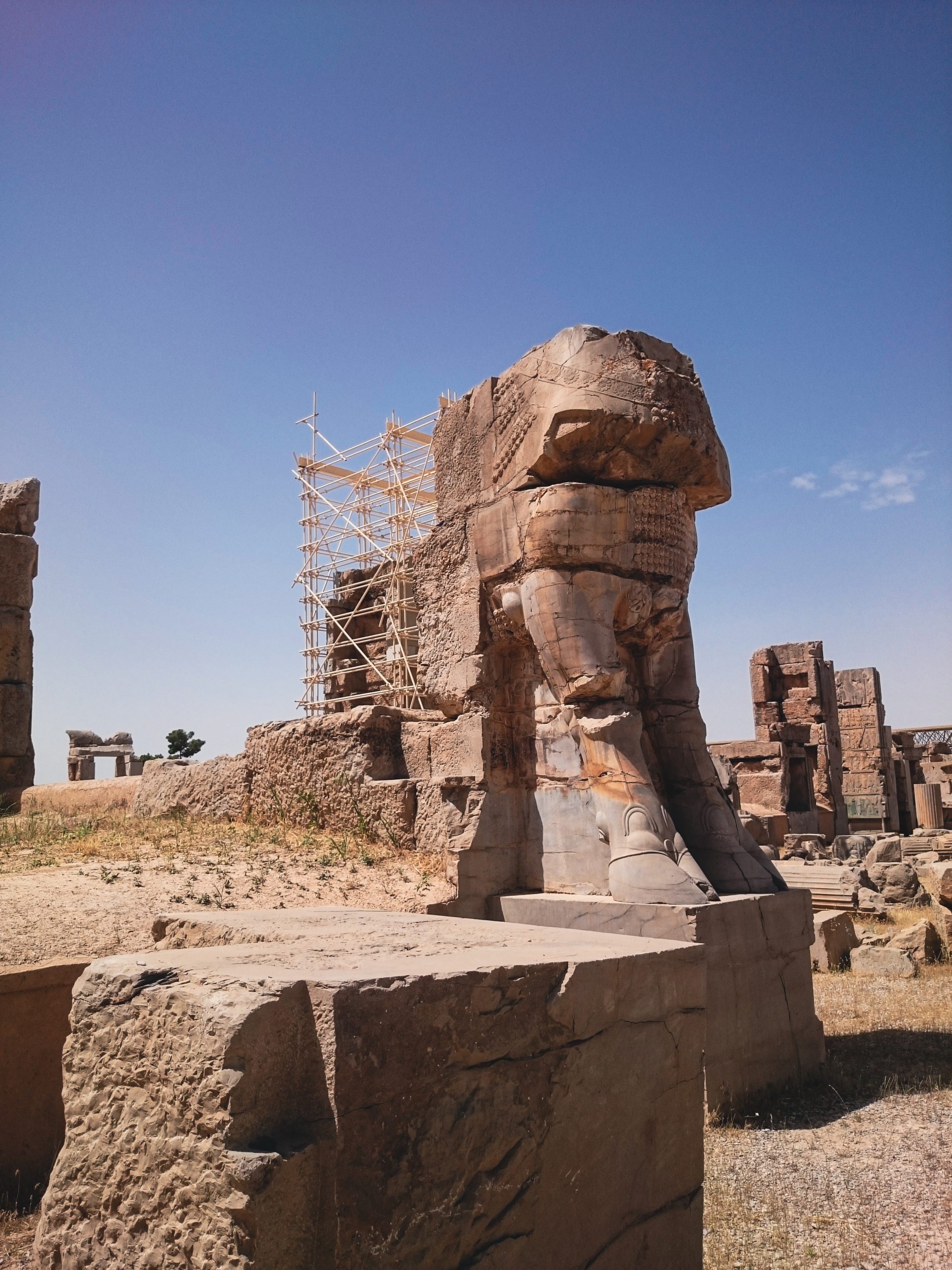 The weather-worn stone remains of a massive bull statue at Persepolis. The sculpture is fragmented, showing only its muscular front legs and lower chest.