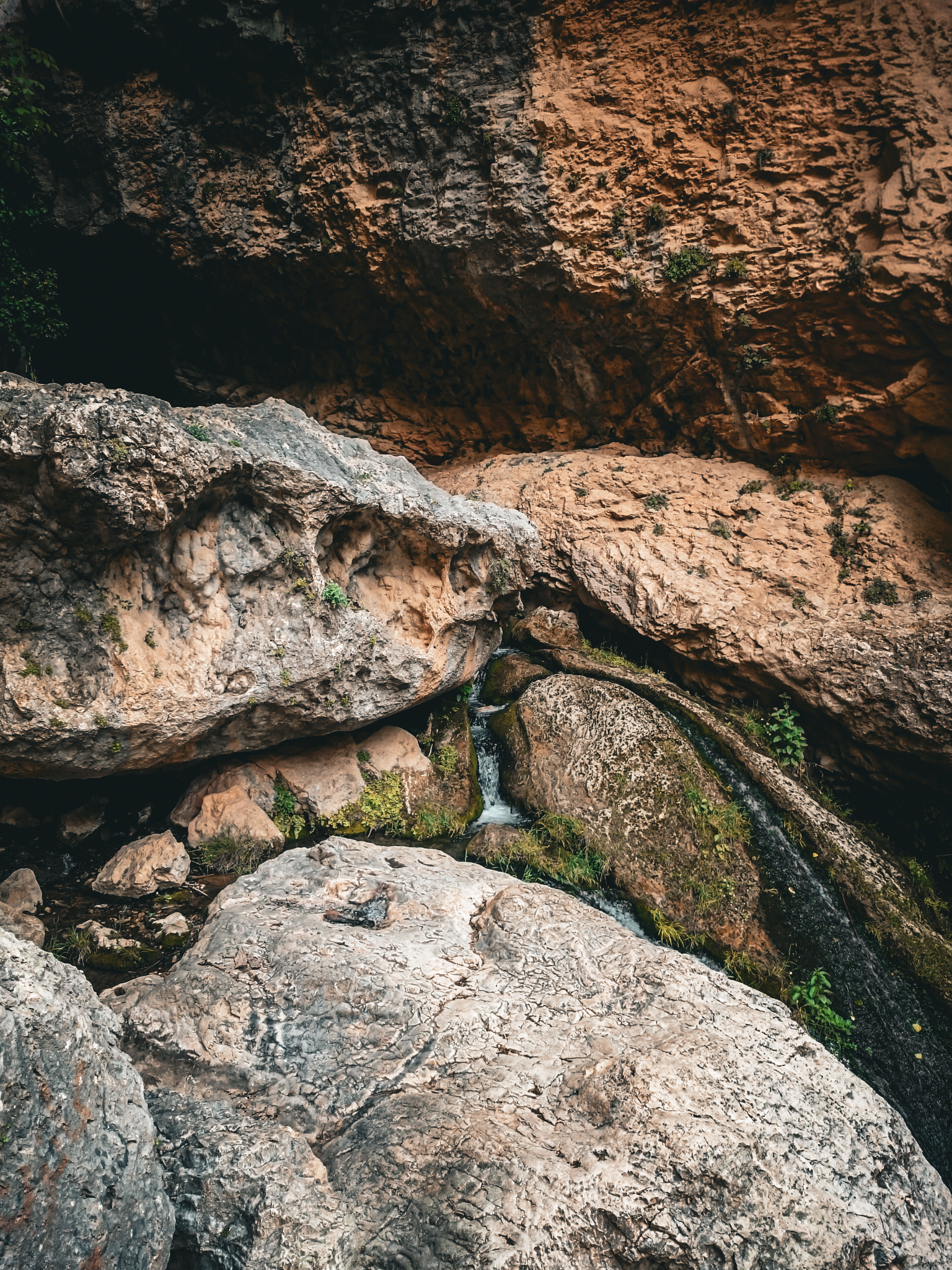 A wide shot from the bottom of a steep mountain valley, focusing on a small stream that makes the ground green as it flows over gray and cream-colored rocks. The gorge walls rise up, and a few tree leaves are visible in the top-left corner.